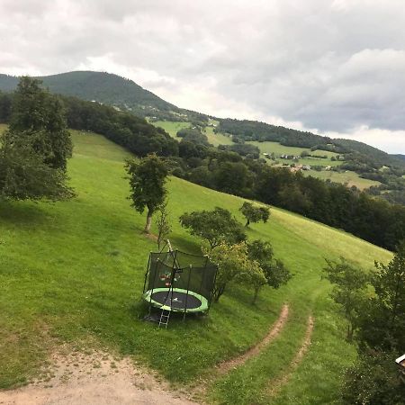 hébergement du chêne Fréland Buitenkant foto