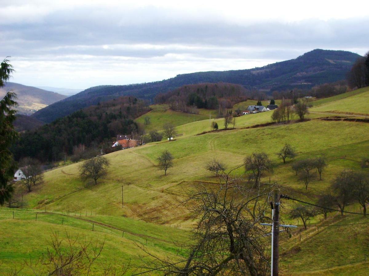 hébergement du chêne Fréland Buitenkant foto